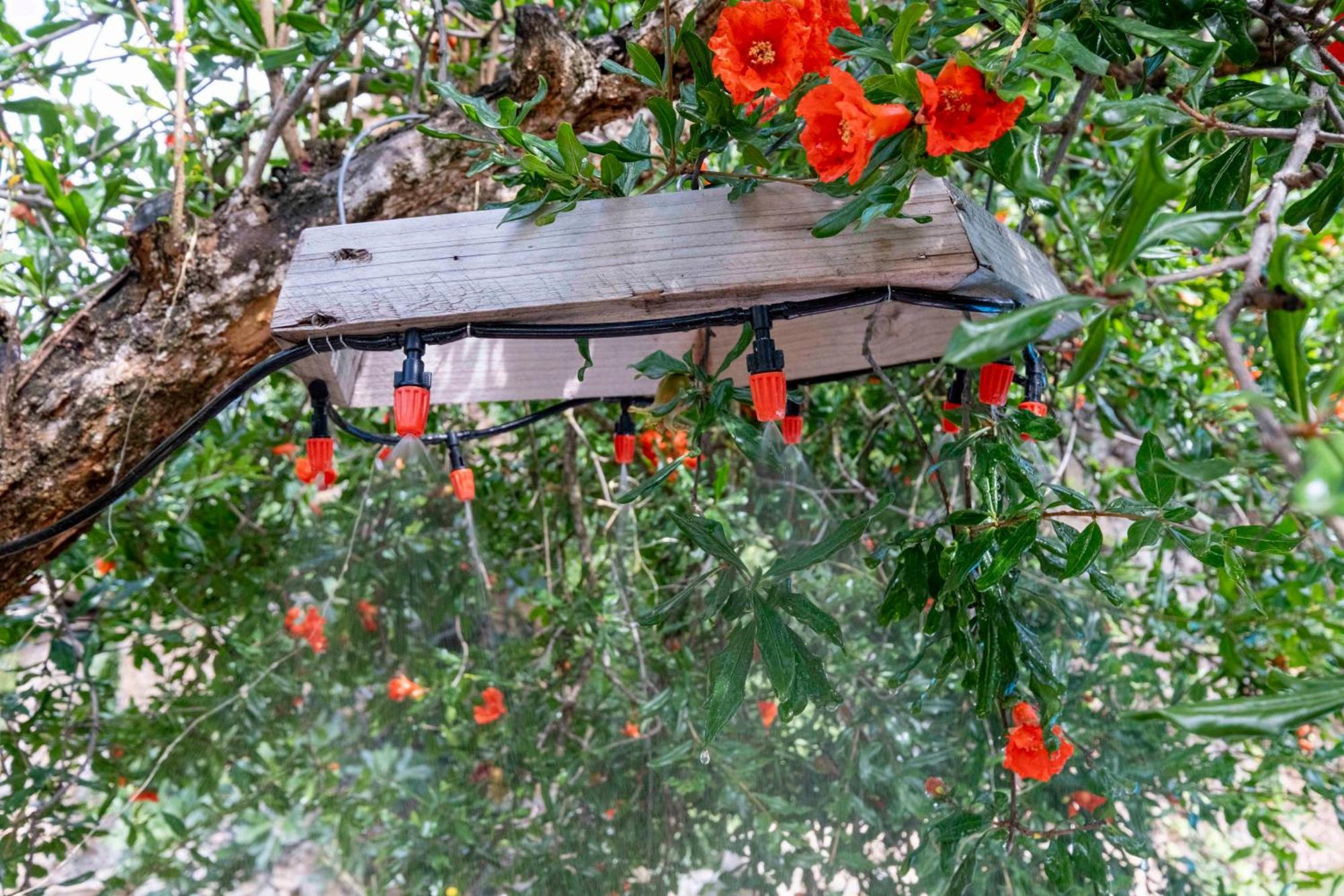 アヘル Casa Acollidora I Familiar Amb Jardi I Barbacoaヴィラ エクステリア 写真